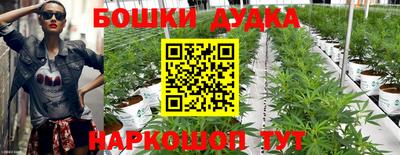 спайс Аша