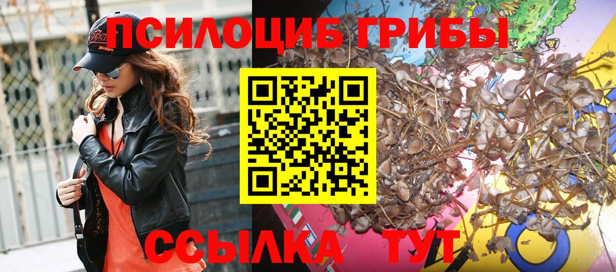 Галлюциногенные грибы мухоморы Нижний Новгород
