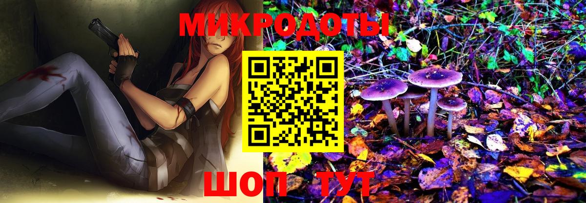 Нижний Новгород  Галлюциногенные грибы мицелий  Вход с VPN 